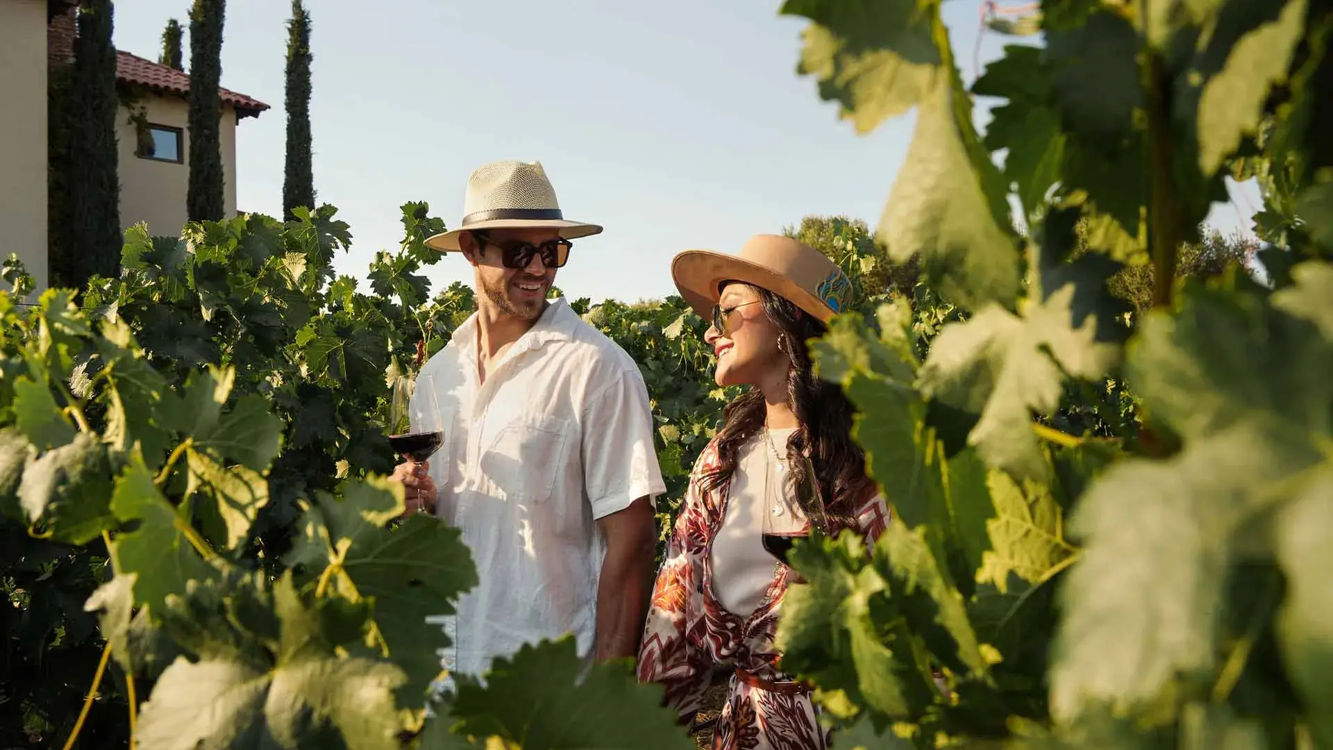 Sunday experience in Valle de Guadalupe