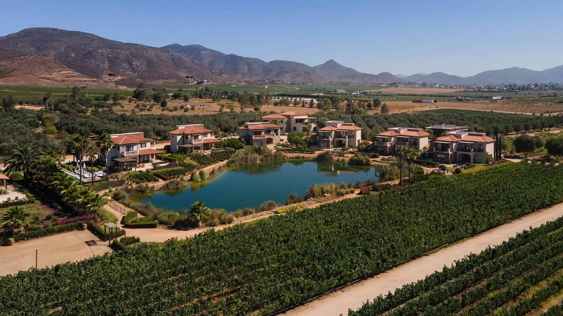 Trail and Wine race day
