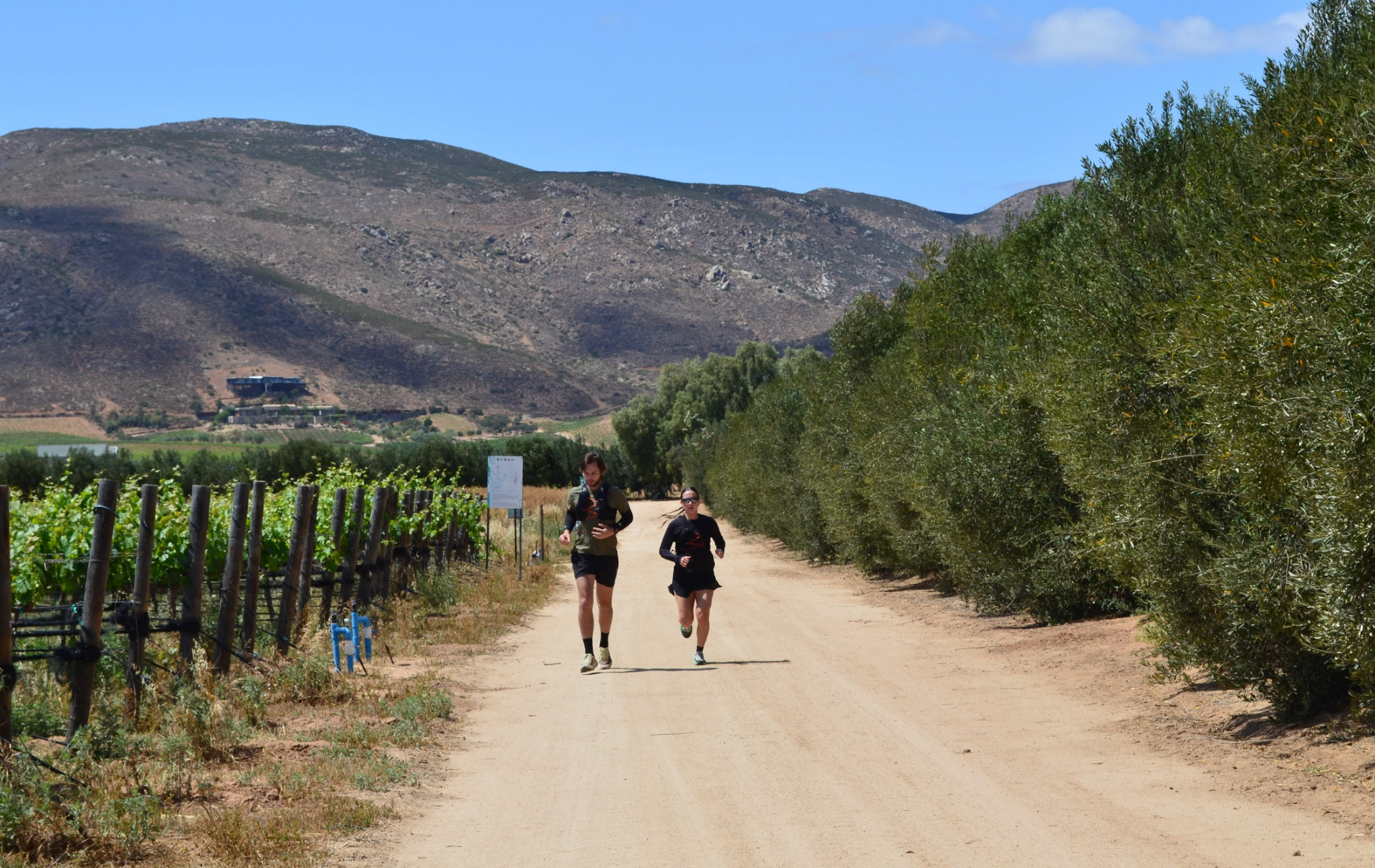 Trail & Wine Valle de Guadalupe