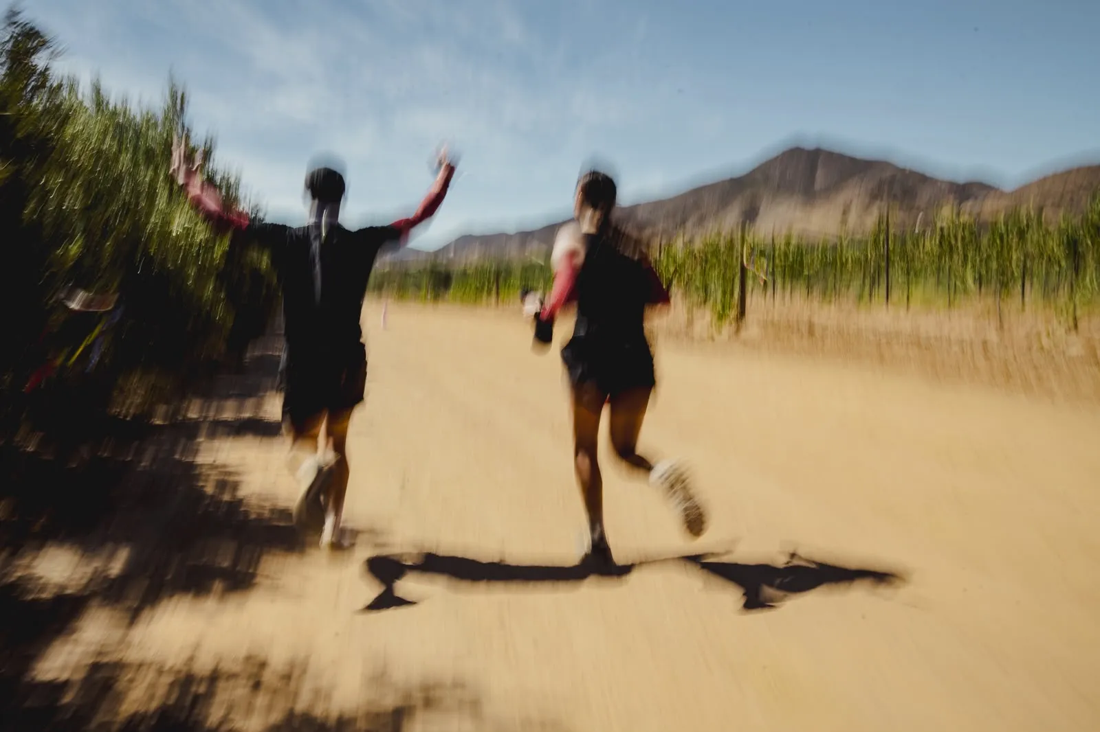 Corredores en un camino de terracería entre viñedos.