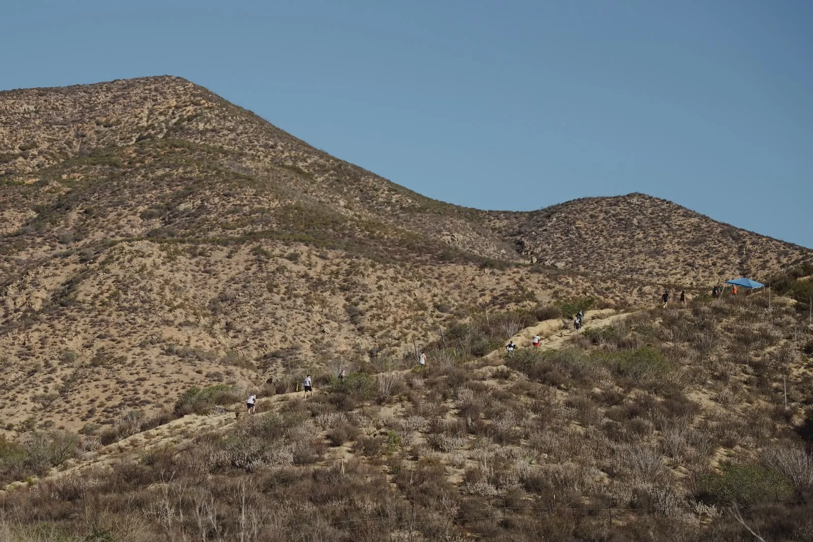 A trail runner climbs a wooded singletrack above Valle de Guadalupe.